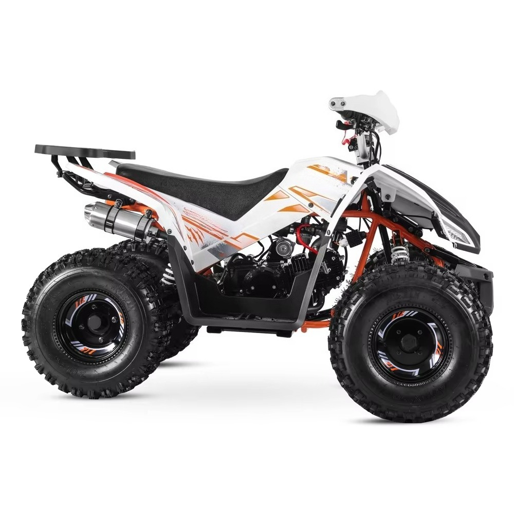 Stlf Tao Motor 2026 Nowy Sport – Bike Chain recenzja i cena
