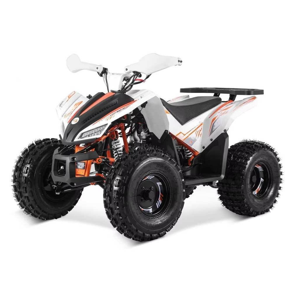 Stlf Tao Motor 2026 Nowy Sport – Bike Chain recenzja i cena